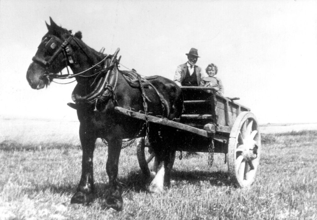 Bob and Brasser Copper with horse and cart